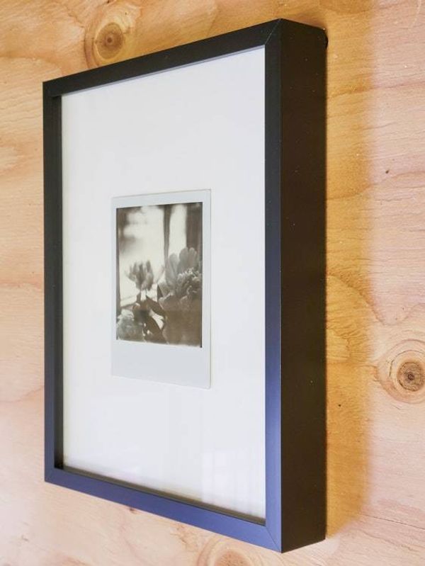Alternate image for One of a Kind Framed Polaroid Peony Photograph