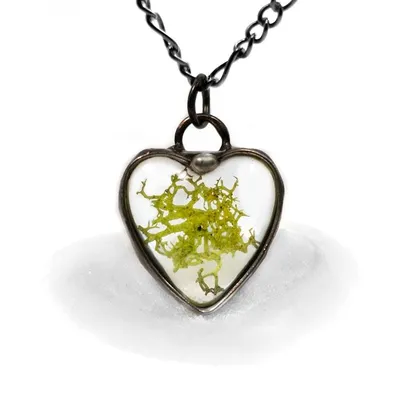 Alternate image for Heart Necklace for Women, Moss Heart Pendant, Natural Plant Pendant, Earthy Jewelry