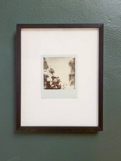 Image for One of a Kind Framed Polaroid Rose Photograph