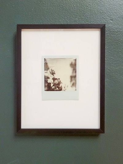 Primary image for One of a Kind Framed Polaroid Rose Photograph