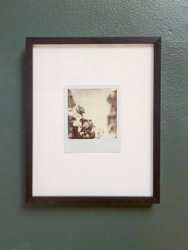 Alternate image for One of a Kind Framed Polaroid Rose Photograph