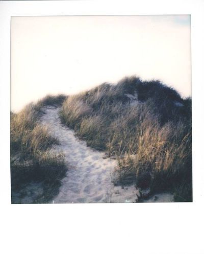 Alternate image for One of a Kind Framed Polaroid Dune Path Photograph