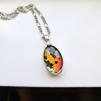 Alternate image for Butterfly Wing Pendant Necklace for Women, Real Sunset Moth Wing Jewelry, Insect Jewelry, Quality Glass Not Resin