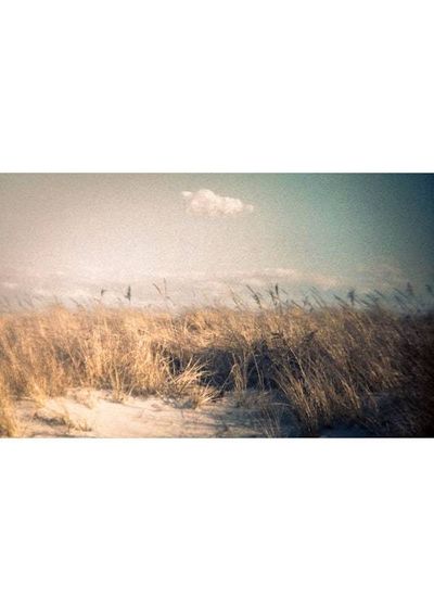 Alternate image for Framed Dune Grass Limited Edition Landscape Photograph
