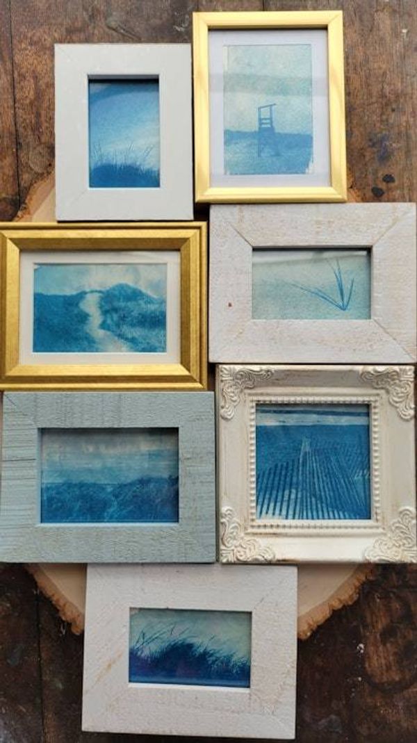 Main image for S. Lawhorne Photography