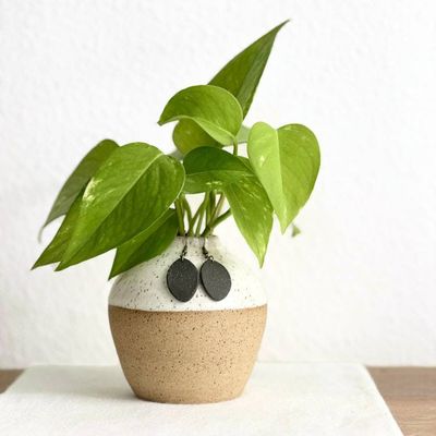 Alternate image for Black Oval Ceramic Earrings