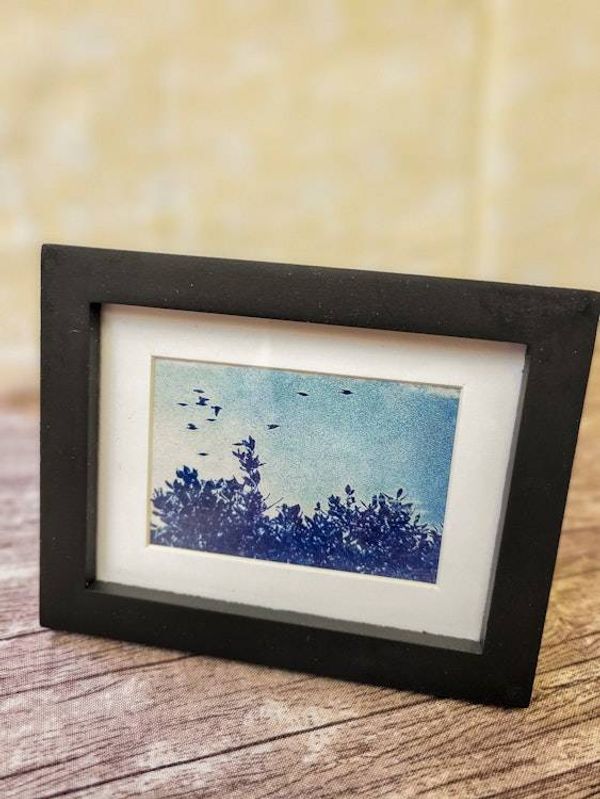 Alternate image for Miniature Framed Nature Cyanotype Photograph - Blue Sky, Foliage, and Birds