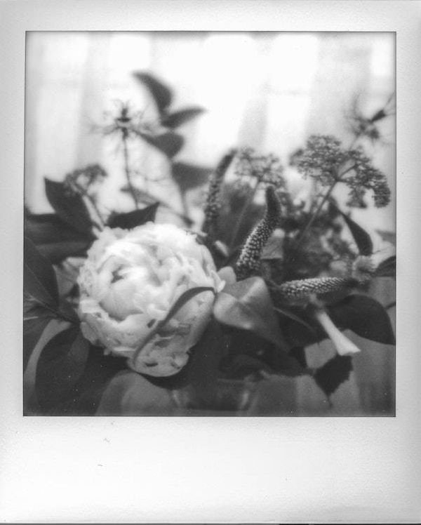 Alternate image for One-of-a-Kind Framed Polaroid Floral Still Life Photograph