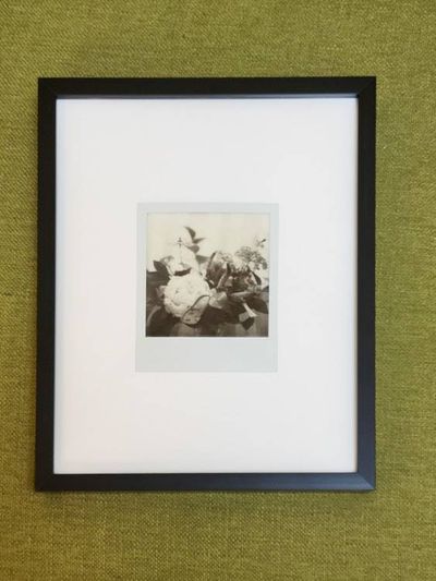 Alternate image for One-of-a-Kind Framed Polaroid Floral Still Life Photograph