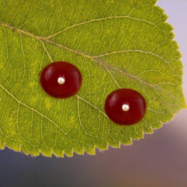 Alternate image for Sterling Silver Stud Earrings with Natural Carnelian Stones Sunset in the Valley