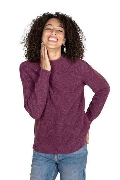 Alternate image for Raspberry Alpaca Blend Pullover Sweater with Knit Motifs Raspberry Revel