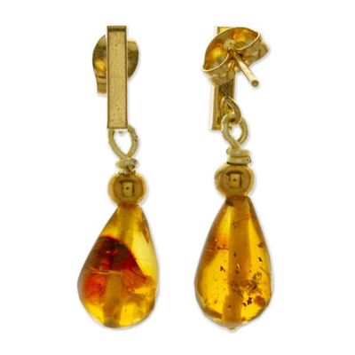 Alternate image for High-Polished 14k Gold-Plated Natural Amber Dangle Earrings Promised Drops