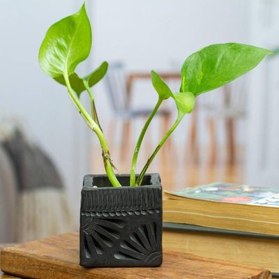 Primary image for Mexican Handmade Barro Negro Black Ceramic Mini Flower Pot Square  Peacock