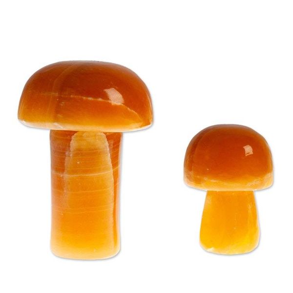 Alternate image for Pair of Mushroom-Themed Hand-Carved Brown Onyx Home Accents Morning Mushrooms