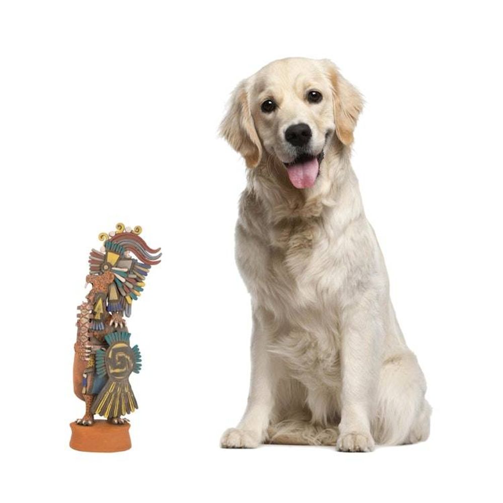 Alternate item image