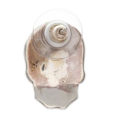 Alternate image for Gothic-Inspired Skull-Themed Sterling Silver Button Earrings Underworld Faade