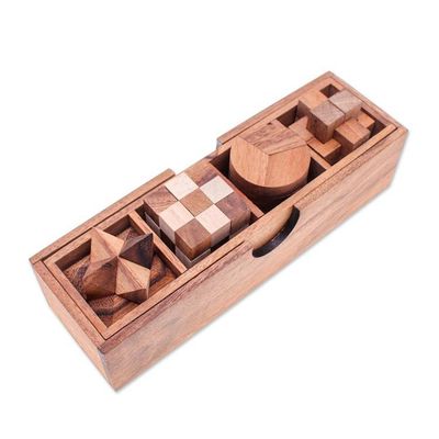 Alternate image for 4 Raintree and Rubberwood Brain Teaser Puzzles with Box Fun and Games