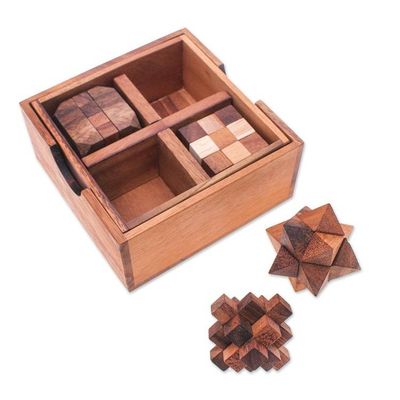 Alternate image for Set of 5 Wooden Brain Teaser Puzzles with Storage Box Challenge Your Mind