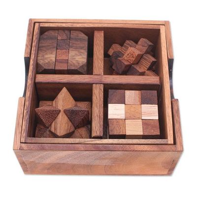 Alternate image for Set of 5 Wooden Brain Teaser Puzzles with Storage Box Challenge Your Mind