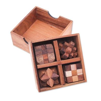 Alternate image for Set of 5 Wooden Brain Teaser Puzzles with Storage Box Challenge Your Mind