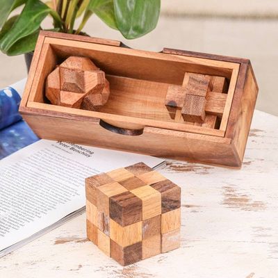 Primary image for Set of 3 Raintree and Rubberwood Puzzles with Storage Box Game Time