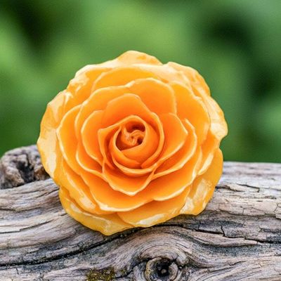 Primary image for Artisan Crafted Natural Rose Brooch in Peach from Thailand Rosy Mood in Peach