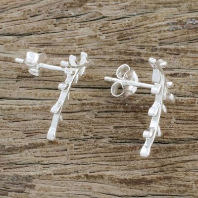 Alternate image for Sterling Silver Olive Branch Drop Earrings from Thailand Shining Olive