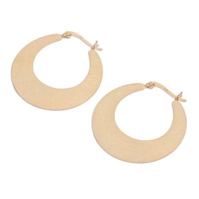Alternate image for Handcrafted Gold-Plated Hoop Earrings Catch the Sun