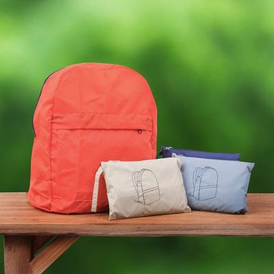 Primary image for Waterproof Wristlet and Backpack Nesting Travel Bag Set Explore Express