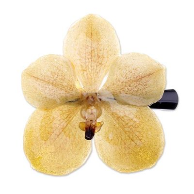 Alternate image for Resin-Coated Yellow Natural Orchid Hair Clip from Thailand Yellow Whisper