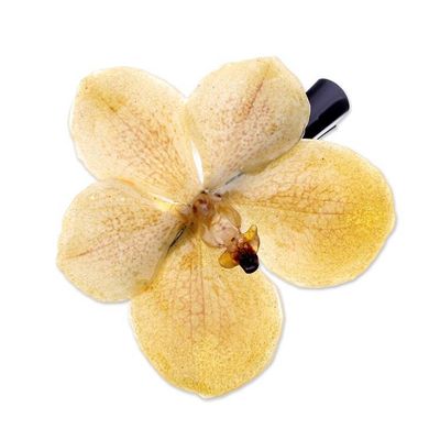 Alternate image for Resin-Coated Yellow Natural Orchid Hair Clip from Thailand Yellow Whisper