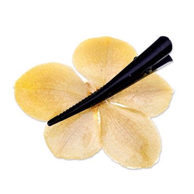 Alternate image for Resin-Coated Yellow Natural Orchid Hair Clip from Thailand Yellow Whisper