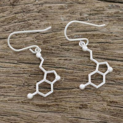 Alternate image for Sterling Silver Modern Double Hexagon Dangle Earrings Serotonin