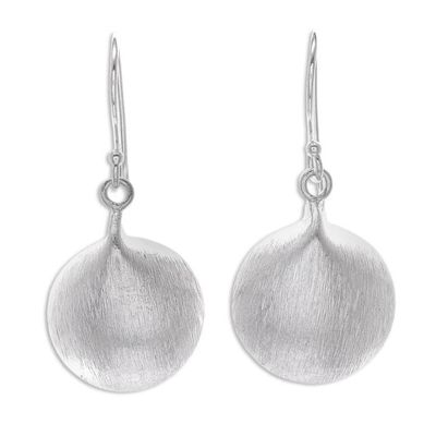 Alternate image for Brushed 950 Silver Dangle Earrings Mellow moon