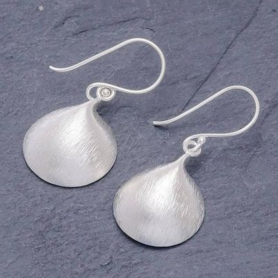 Alternate image for Brushed 950 Silver Dangle Earrings Mellow moon