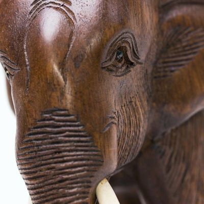 Alternate image for Hand Made Wood Elephant Sculpture from Thailand Relaxed Elephant