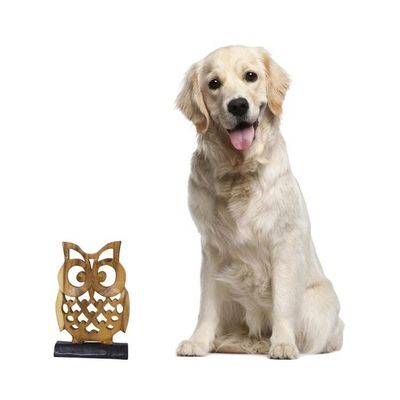 Alternate image for Hand-carved Wood Sculpture Adorable Owl