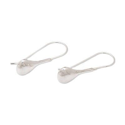 Alternate image for High Polished Sterling Silver Drop Earrings from Bali Earth of Eternity