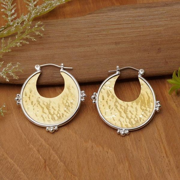 Alternate image for Gold-Plated Brass Sterling Silver Hammered Hoop Earrings Caretaker of Glamour