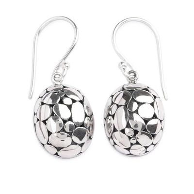 Alternate image for Textured Silver Dangle Earrings with Armadillo Pattern Armadillo Beauty