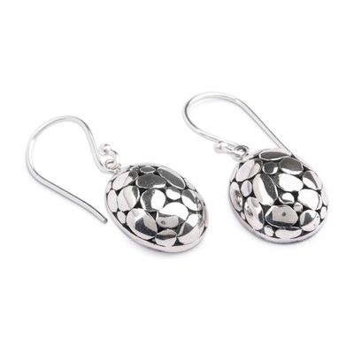 Alternate image for Textured Silver Dangle Earrings with Armadillo Pattern Armadillo Beauty