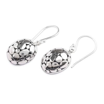 Alternate image for Textured Silver Dangle Earrings with Armadillo Pattern Armadillo Beauty