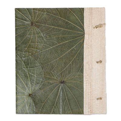 Alternate image for Turtle-Themed Natural Fiber Journal with 41 Rice Paper Pages Twirly Turtle