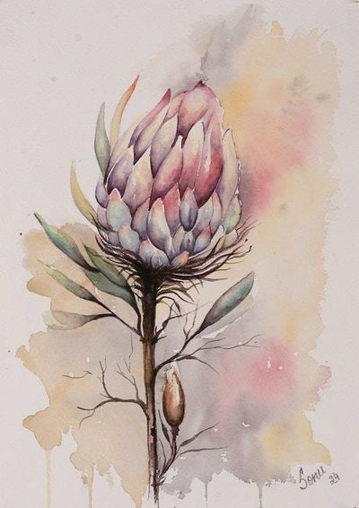 Alternate image for Watercolor Impressionist Protea Flower Still Life Painting Protea Dreams