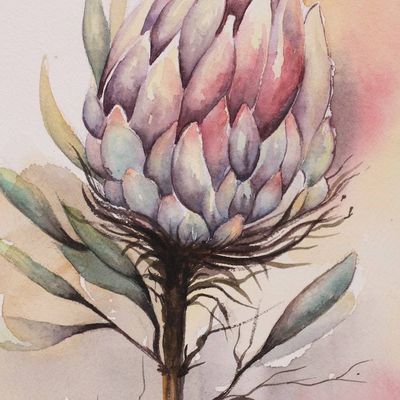Alternate image for Watercolor Impressionist Protea Flower Still Life Painting Protea Dreams