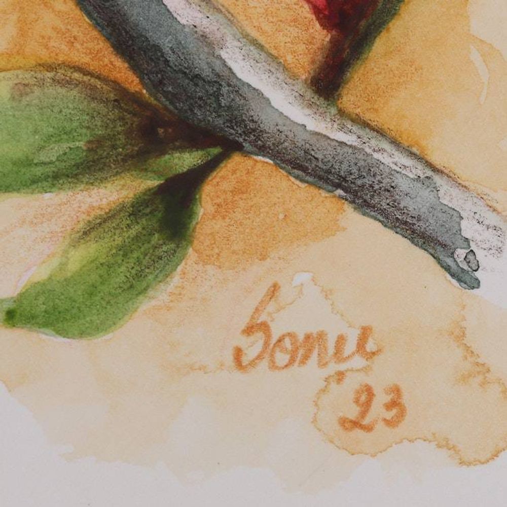 Alternate item image