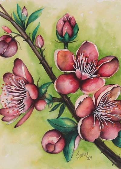 Alternate image for Watercolor Painting of a Branch with Cherry Blooms and Buds Cherry Blossom Dreams