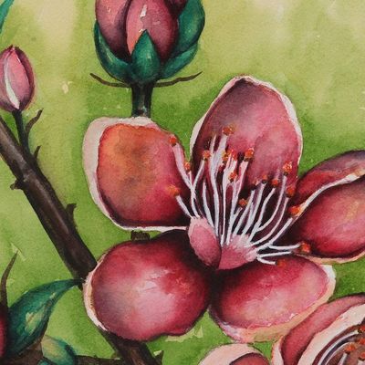 Alternate image for Watercolor Painting of a Branch with Cherry Blooms and Buds Cherry Blossom Dreams