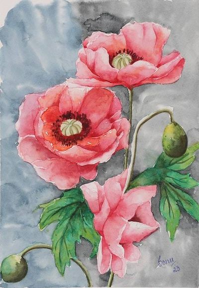 Primary image for Watercolor Painting of Poppy Blooms and Buds with Leaves Poppy Bloom