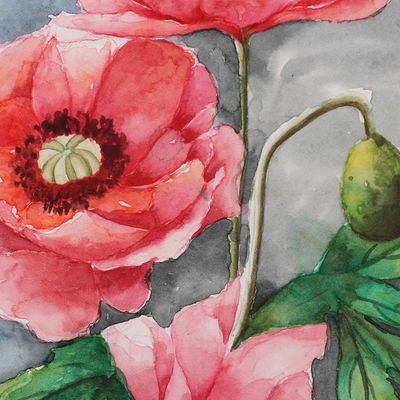 Alternate image for Watercolor Painting of Poppy Blooms and Buds with Leaves Poppy Bloom